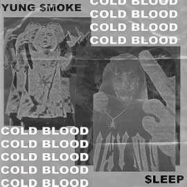 Cold Blood (feat. Yung $moke) never sleep
