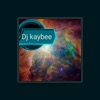 DJ Kaybee