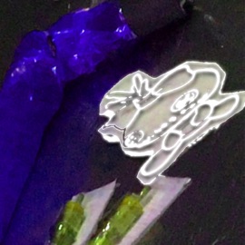 Sag Was Das Soll Yune