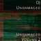 Intro - DJ Undamaged lyrics