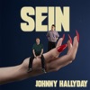 Johnny Hallyday Johnny Hallyday Johnny Hallyday - Single