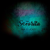 Señorita (feat. Nia) artwork