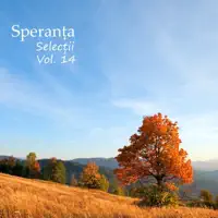 Domn al Domnilor — Speranta