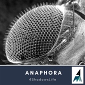 Anaphora artwork