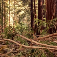 Don't Want This To End - Single - Keepitinside