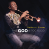 Nathaniel Bassey - You Are God (feat. Chigozie Achugo) artwork