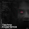 Techno Experience (Remix) artwork