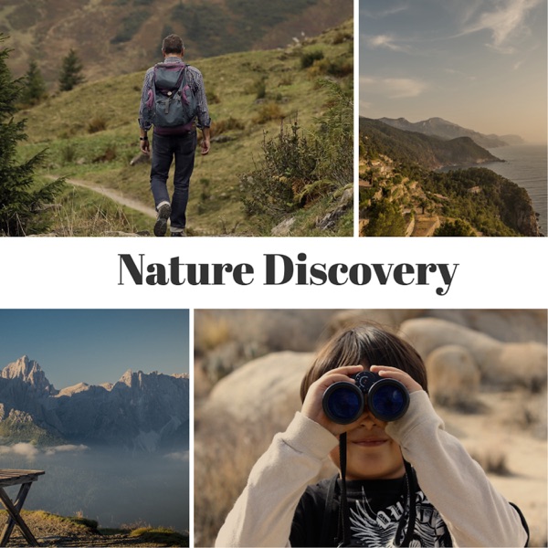 Nature Discovery - Single
