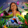 Madre terra (Extended Version) - Grazia Di Michele