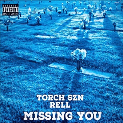 Missing You - Single