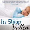 In Slaap Vallen - Tot Rust Komen met Kalmerende Instrumentale Muziek en Geluiden van de Wilde Natuur - Slaapmuziek Ensemble