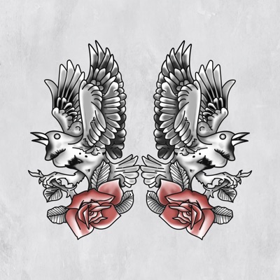 Double Drill - Single