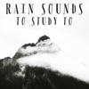 Rain Sounds To Study To - EP