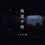 执迷不悟 (DJ版) artwork