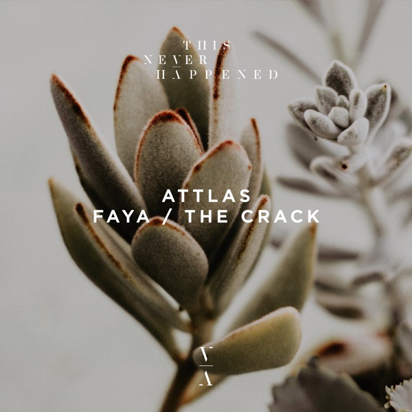 Faya / The Crack - Single