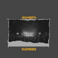 Incognito - Single - KAMUSHEZ