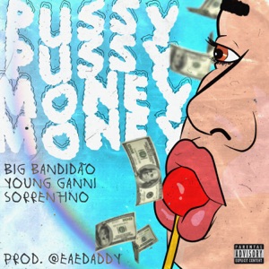 Pussy Pussy Money Money (feat. Young Ganni & Sorren7ino)