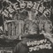 Immigrant Rock and Roll (feat. Los Skarnales) - Liberty And Justice lyrics