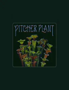 Posłuchaj wykonawcy Pitcher Plant, obejrzyj teledyski, przeczytaj biografię, zobacz daty tras koncertowych i nie tylko!