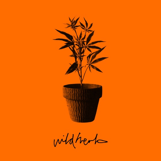 Cover artwork for Wild Herb