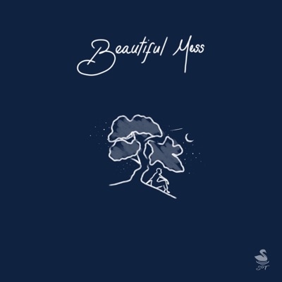 Beautiful Mess - Single