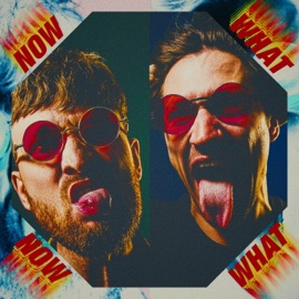 Paycheck (feat. Madox) Art1fact