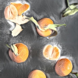 Tangerine Groove ALL Cut Nate