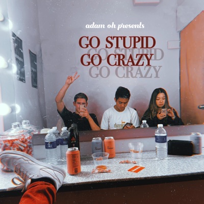 Go Stupid Go Crazy - Single