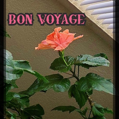 Bon Voyage - Single