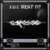 The Best of Carcass artwork