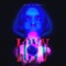 CA NY LA (feat. SEEMEE) - LOVV66 lyrics