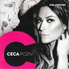 Ceca - Poziv
