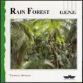 Forest Love