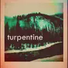 Stream & download Turpentine - Single