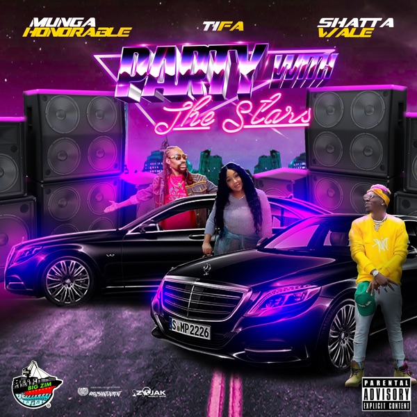 Party with the Stars - Single
