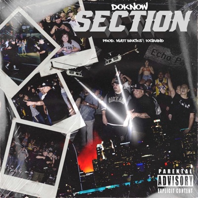 Section - Single