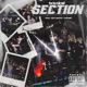 Section Single