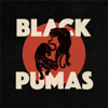 Colors - Black Pumas