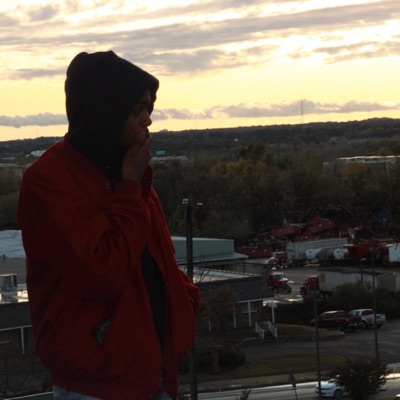 Never Been In The Trap - Single