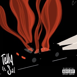 Pensiero Ricorrente (feat. SAL) Telly.