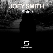 Shine artwork