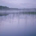Parusi