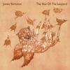 James Yorkston