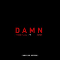 DAMN (feat. Acaer) - Single - Young Flaca