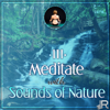Meditate with Sounds of Nature – 111 Relaxing Tracks for Yoga Meditation, Relaxation Therapy for Massage, Reiki, Healing, Music for Deep Sleep - Music to Relax in Free Time