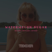 Watermelon Sugar - TENDER Cover Art