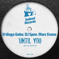 Until You - Single - N'dinga Gaba, DJ Spen & Marc Evans