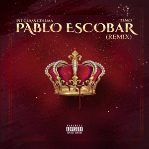 Pablo Escobar (feat. Temo) [Remix] - Single