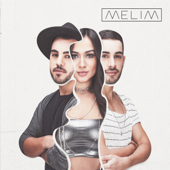 Meu Abrigo - Melim