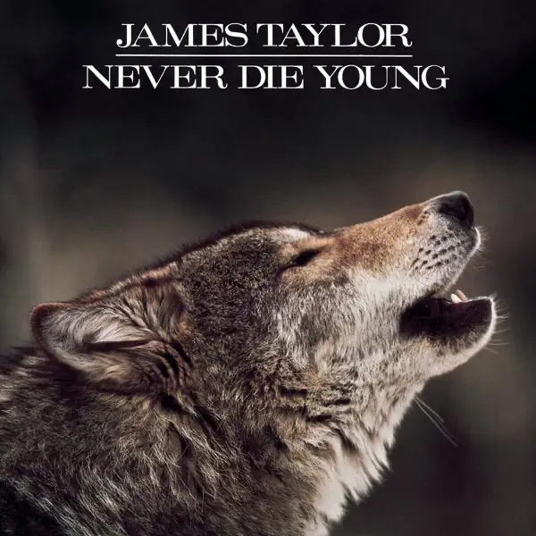 James Taylor - Never Die Young (1988) [iTunes Plus AAC M4A]-新房子